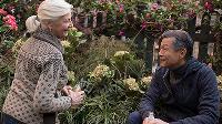 Click to watch 'The Race Grows Sweeter...' (popup) Modern Love